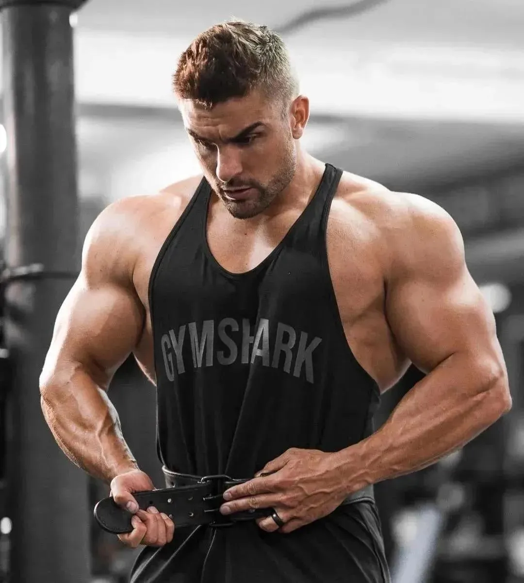 ����ѵ���ľ���VSߣ�������У�������̬����ʲô���