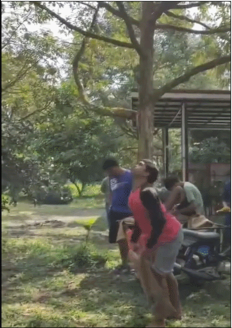 ô޵Ȼ