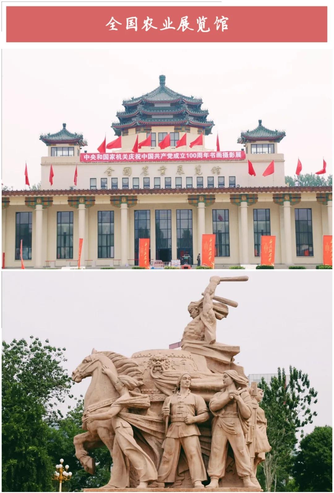 50ͼα鱱ȫò