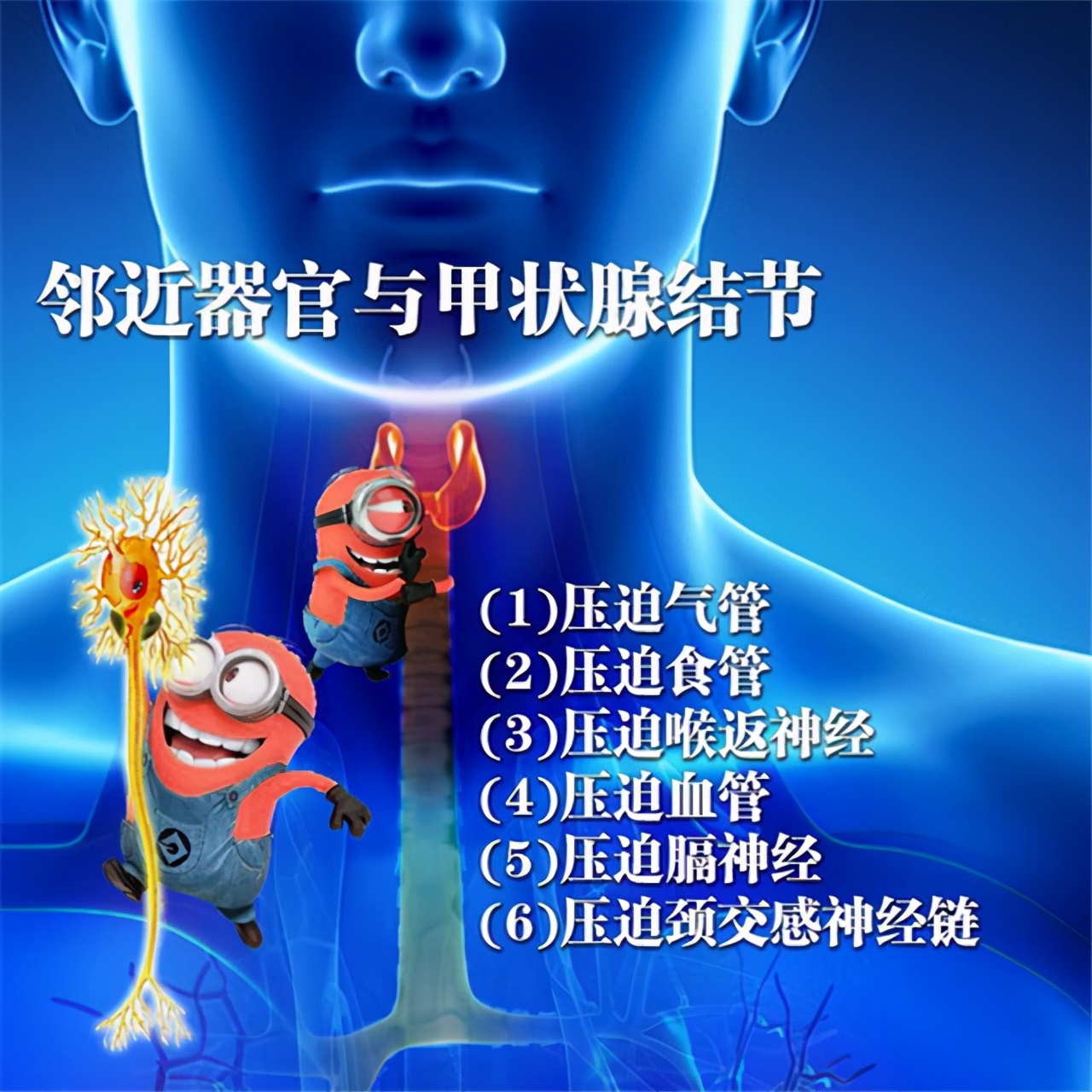 ״ٽڻ߲ܳԼҽںת3