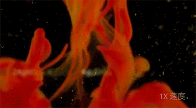 6¼Ƭȿα˼ˣ޸߱ѧ˼ά