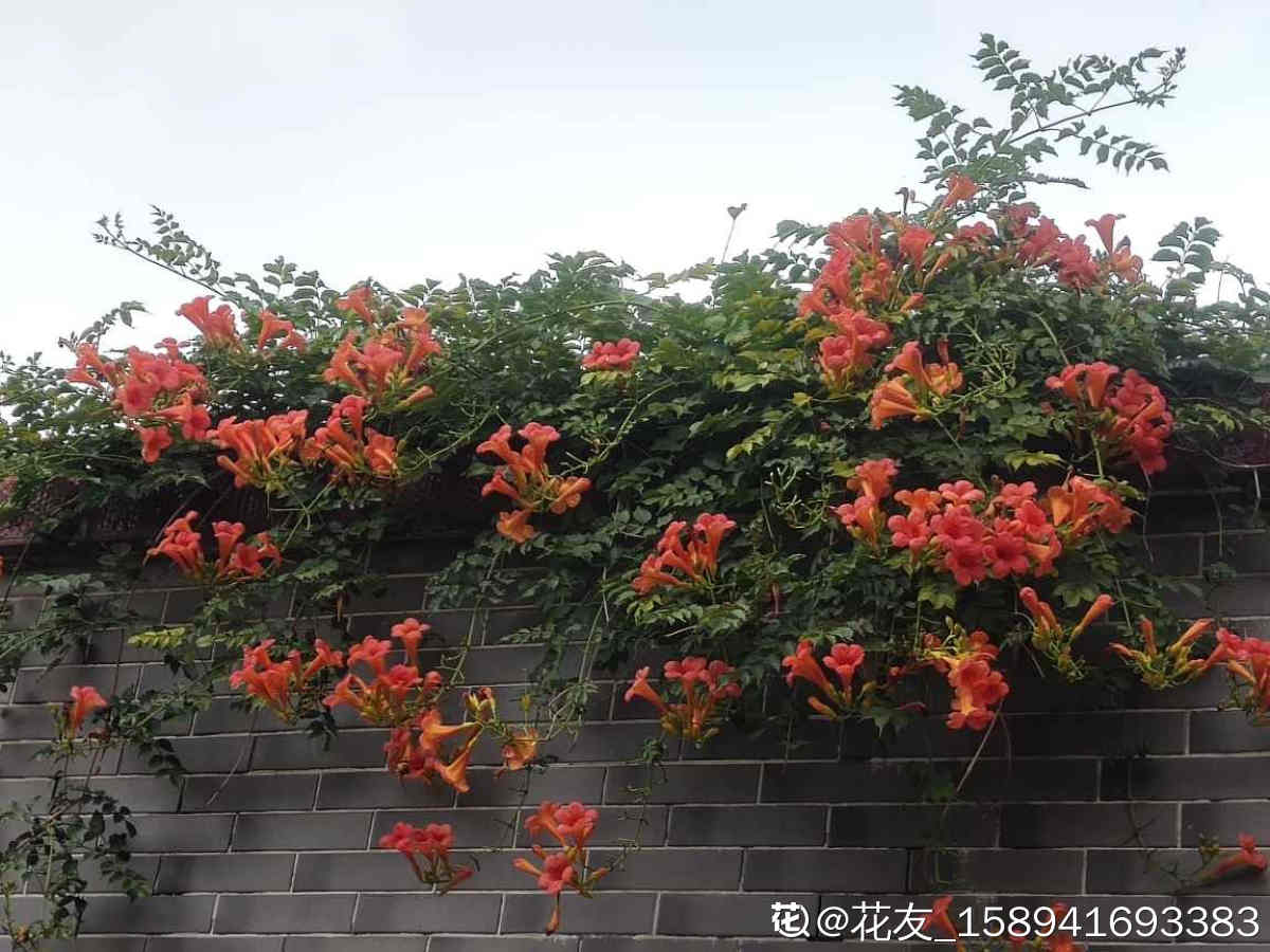ǽ죡4ǽҼҵԺǽվ