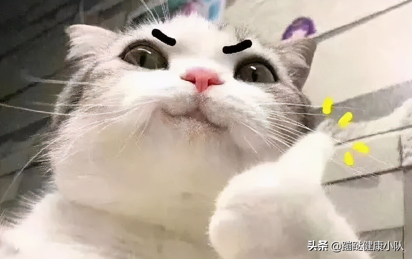 2021ˣ㻹׷ʳ