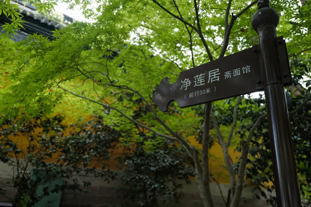 㺼ô棬ƪ˦