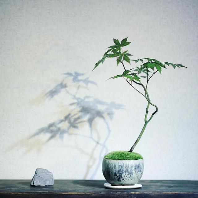 Ϊʲô̦޺ȫʶ˽̦޺ϰԺ