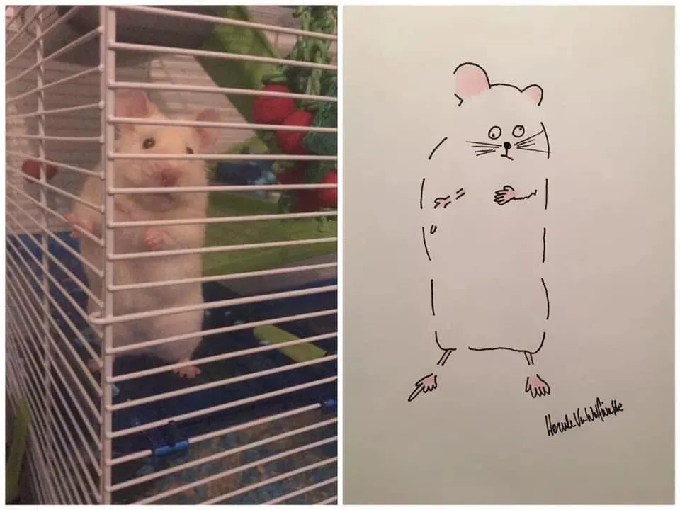 ࣡èèԼ