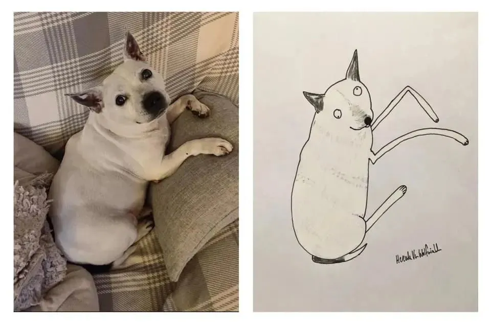 ࣡èèԼ