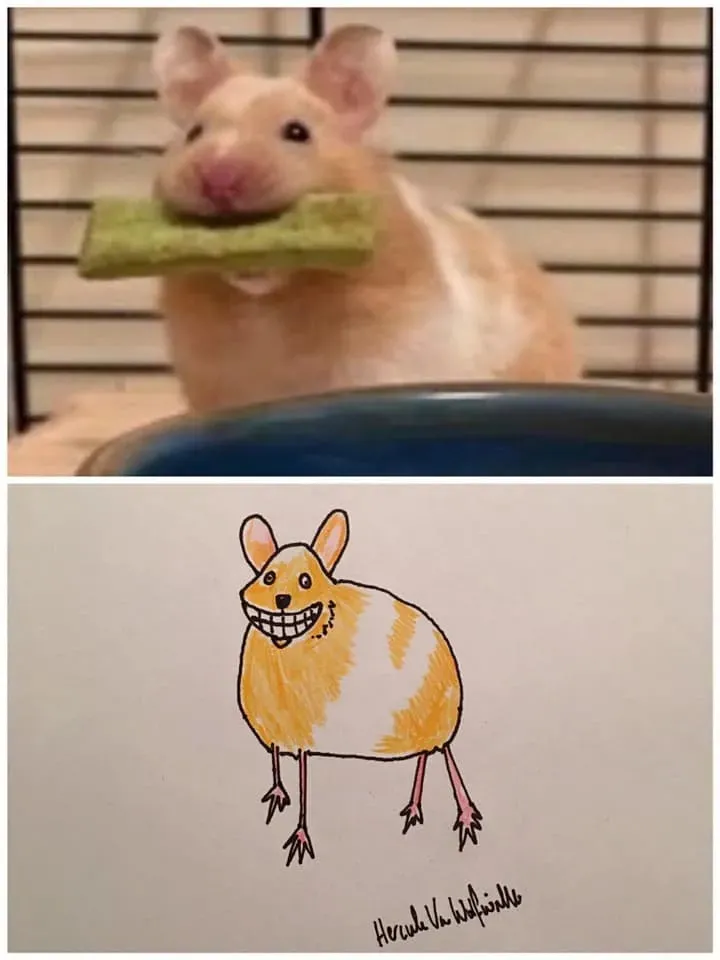 ࣡èèԼ