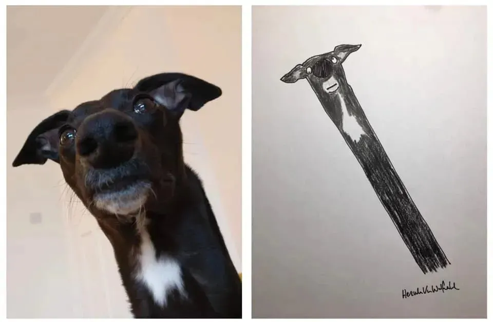 ࣡èèԼ