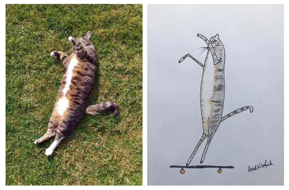 ࣡èèԼ