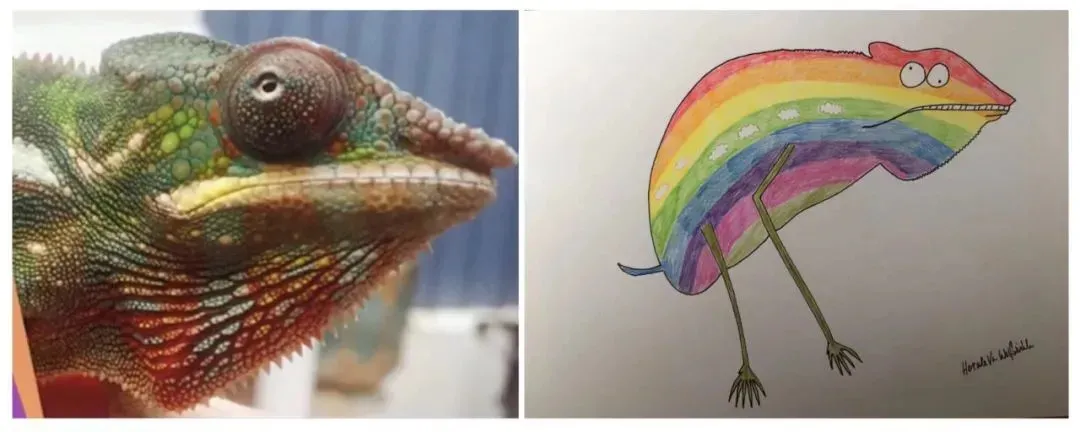࣡èèԼ