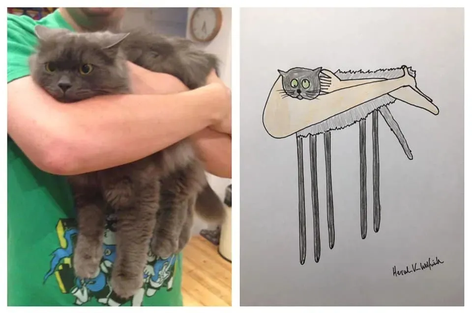 ࣡èèԼ