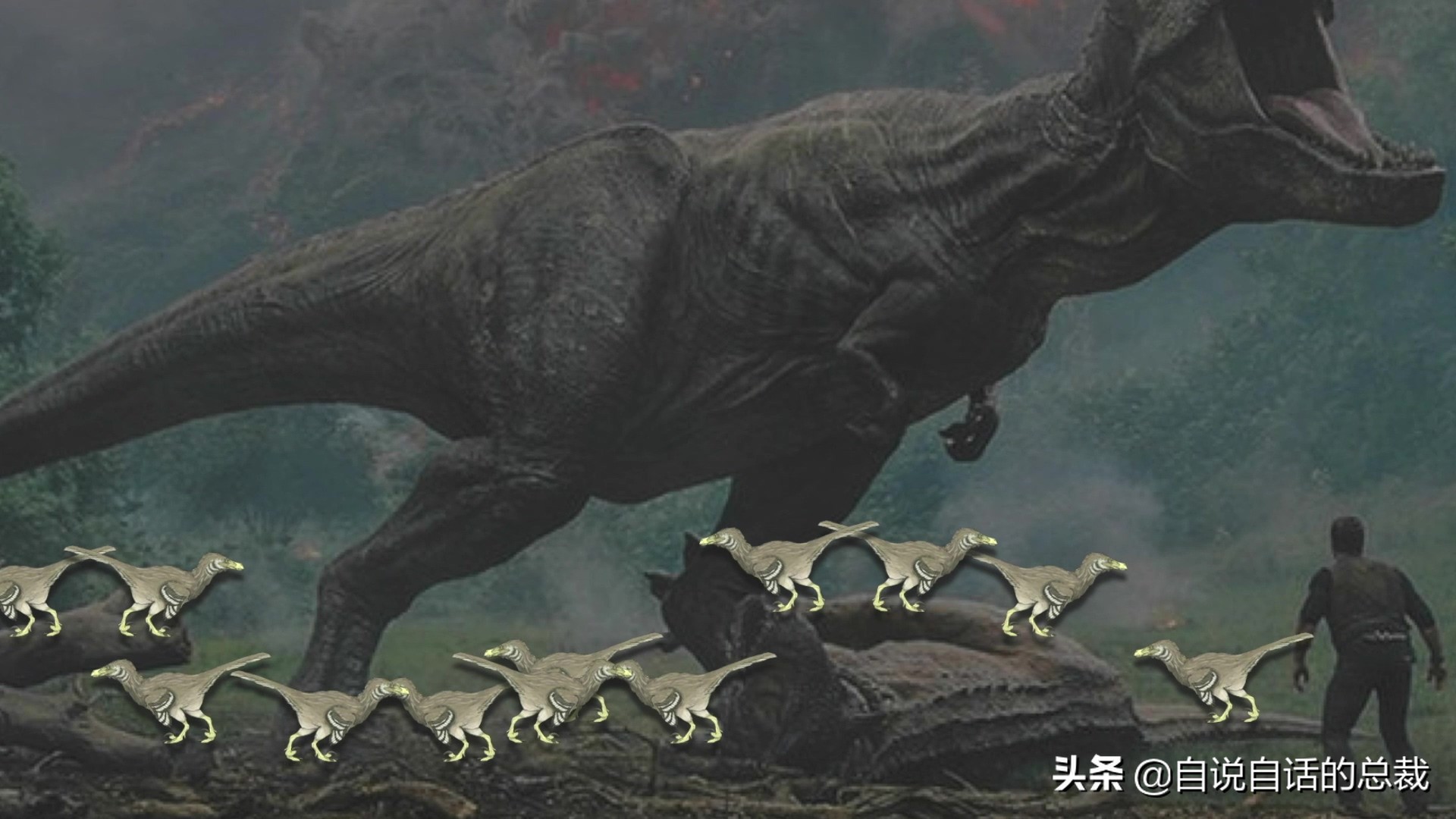 Ϊʲôﶼ¶죿жĵطûߣʵò