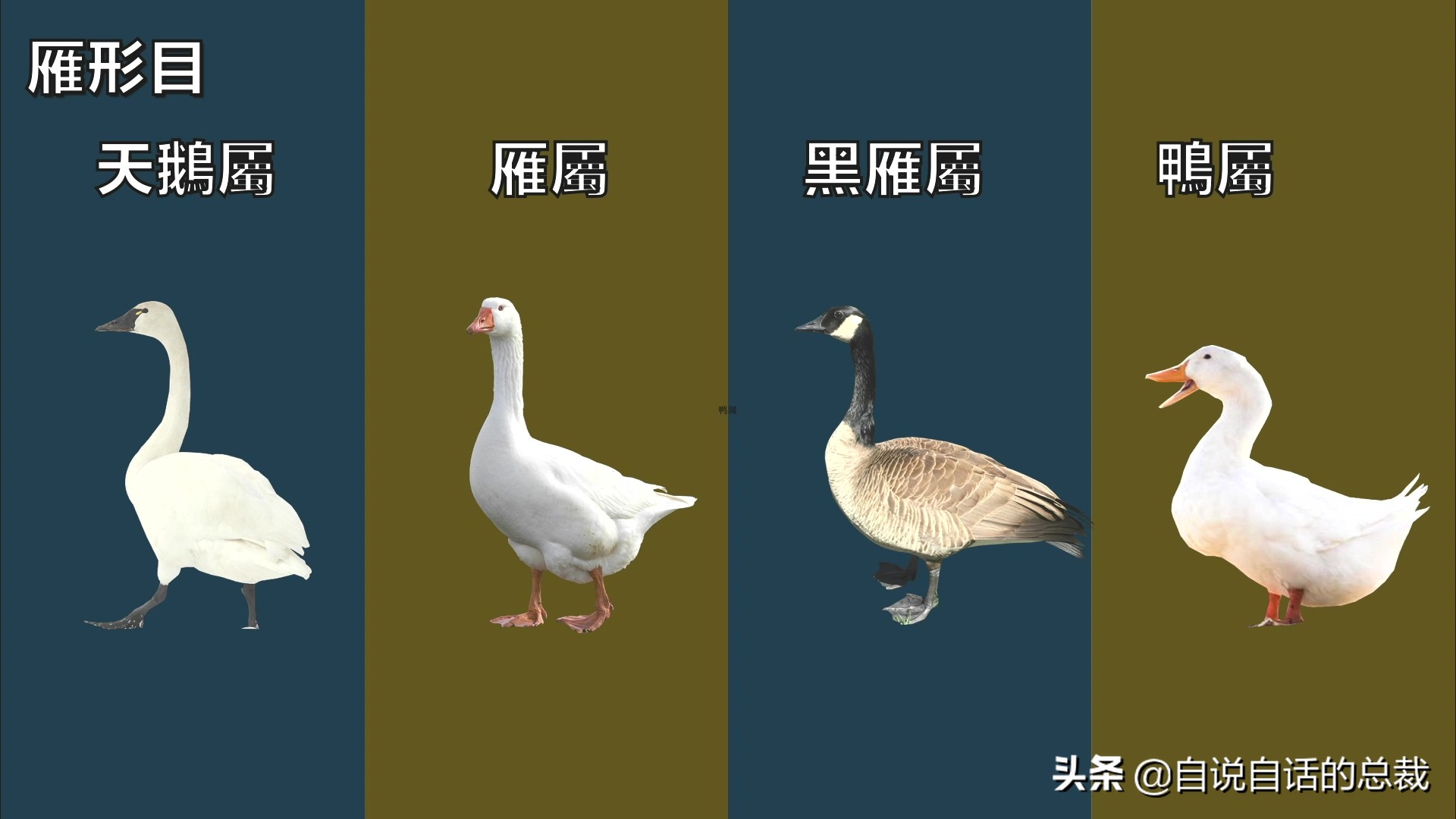 Ϊʲôﶼ¶죿жĵطûߣʵò
