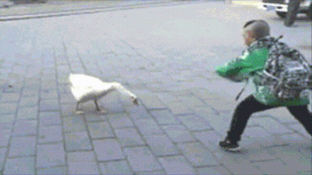 Ϊʲôﶼ¶죿жĵطûߣʵò