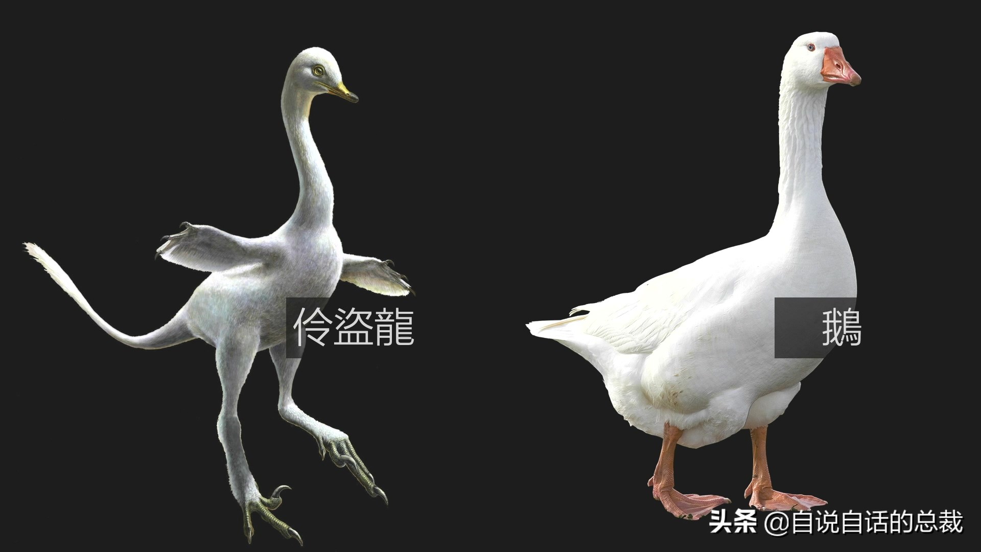 Ϊʲôﶼ¶죿жĵطûߣʵò