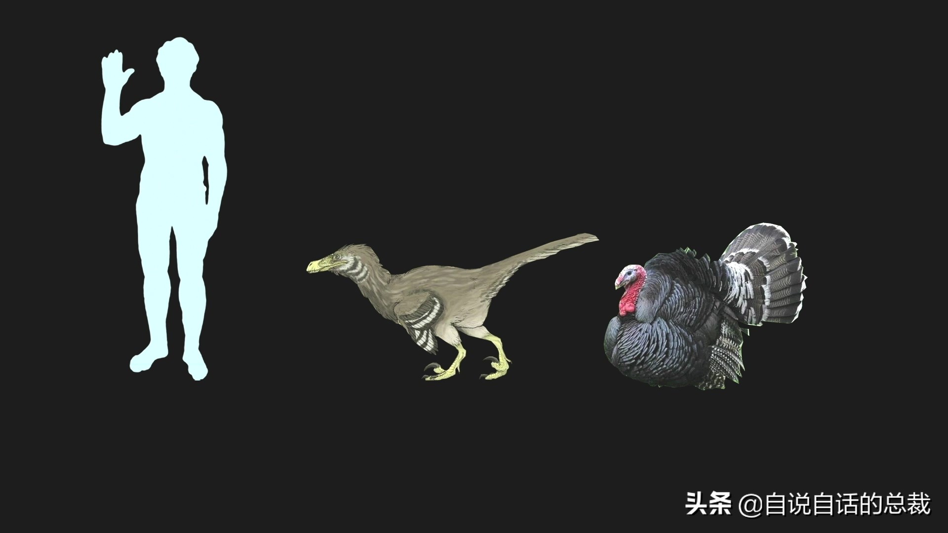 Ϊʲôﶼ¶죿жĵطûߣʵò