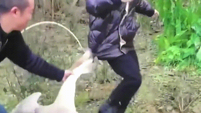 Ϊʲôﶼ¶죿жĵطûߣʵò