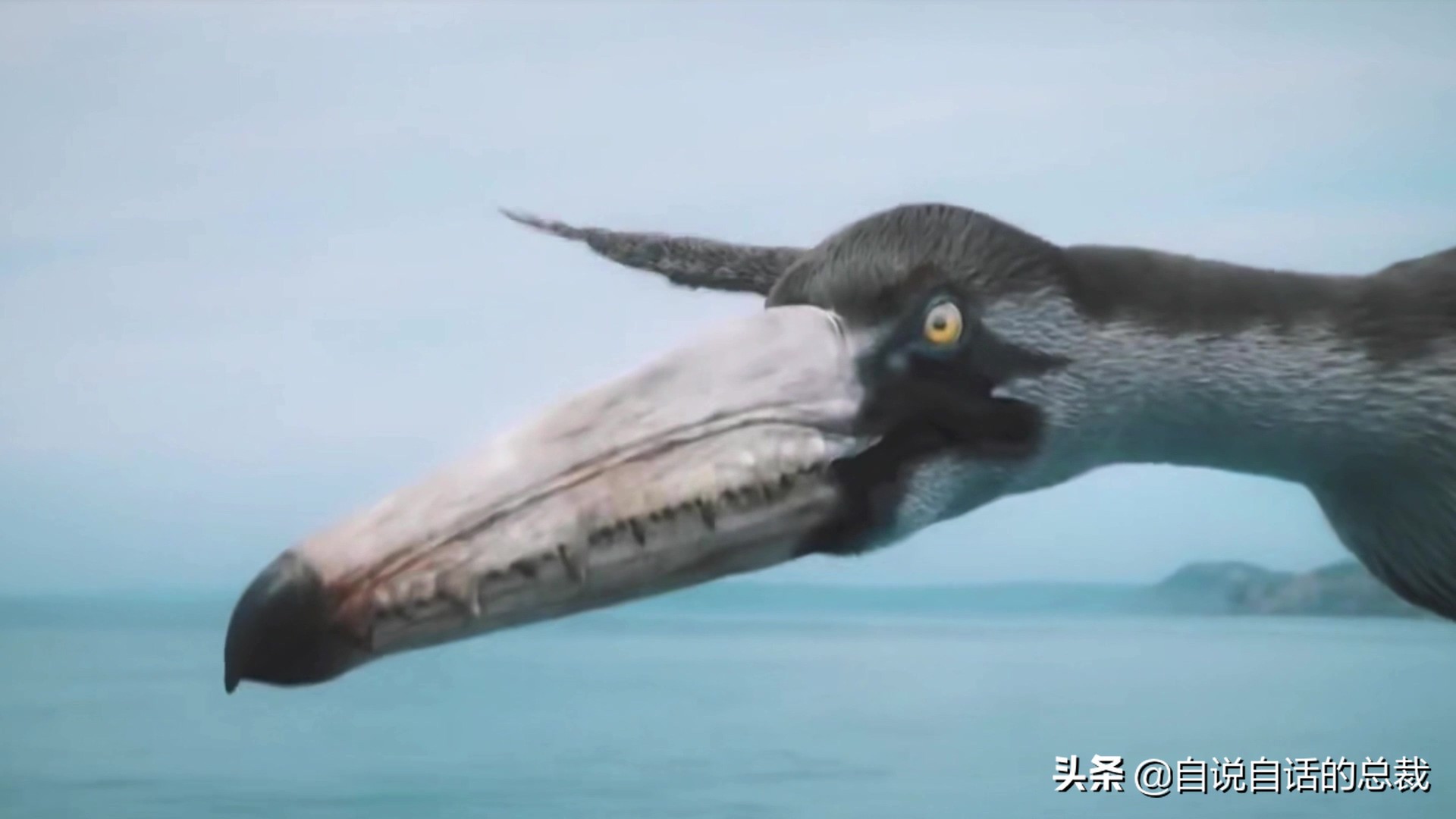 Ϊʲôﶼ¶죿жĵطûߣʵò