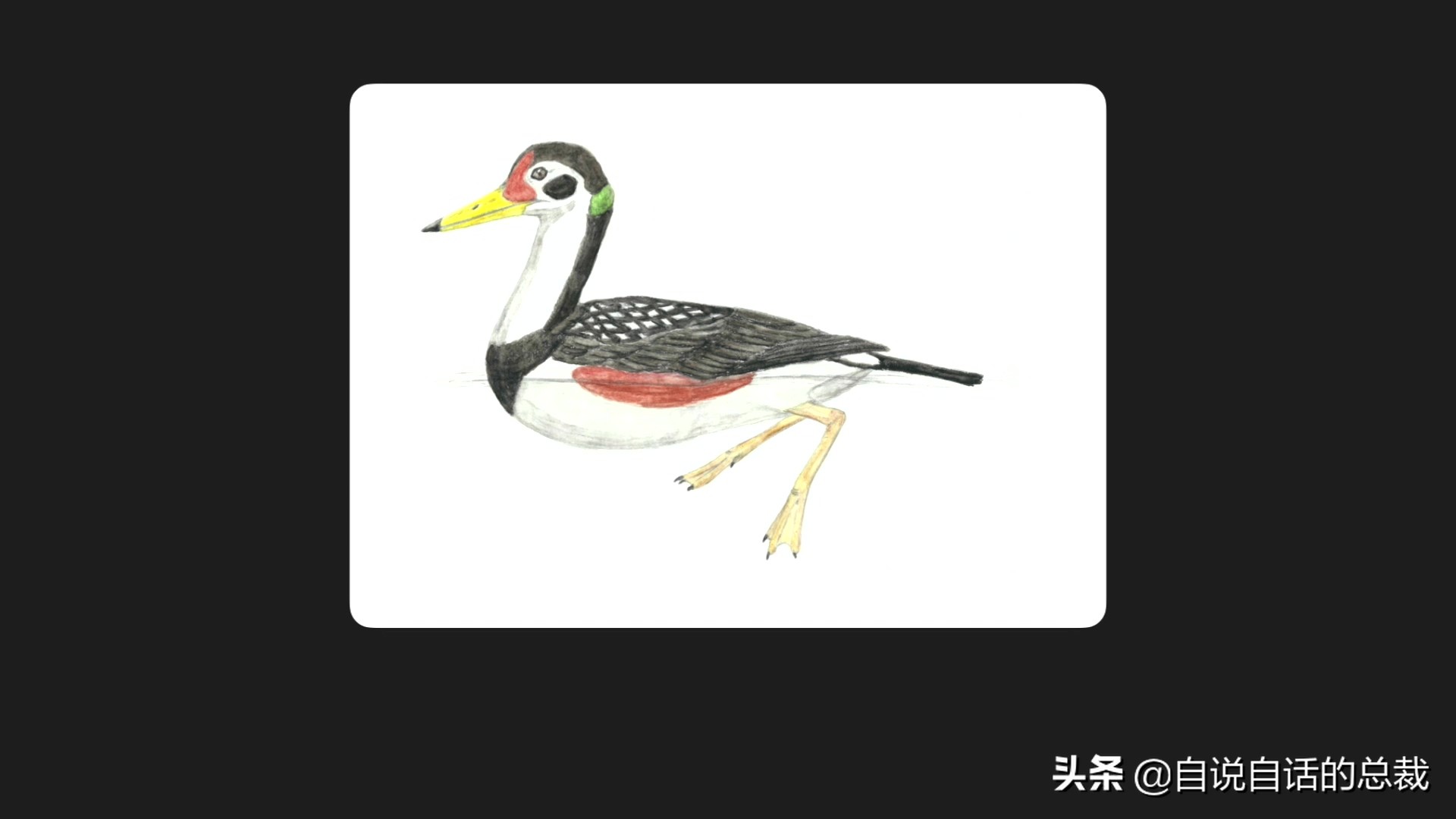 Ϊʲôﶼ¶죿жĵطûߣʵò