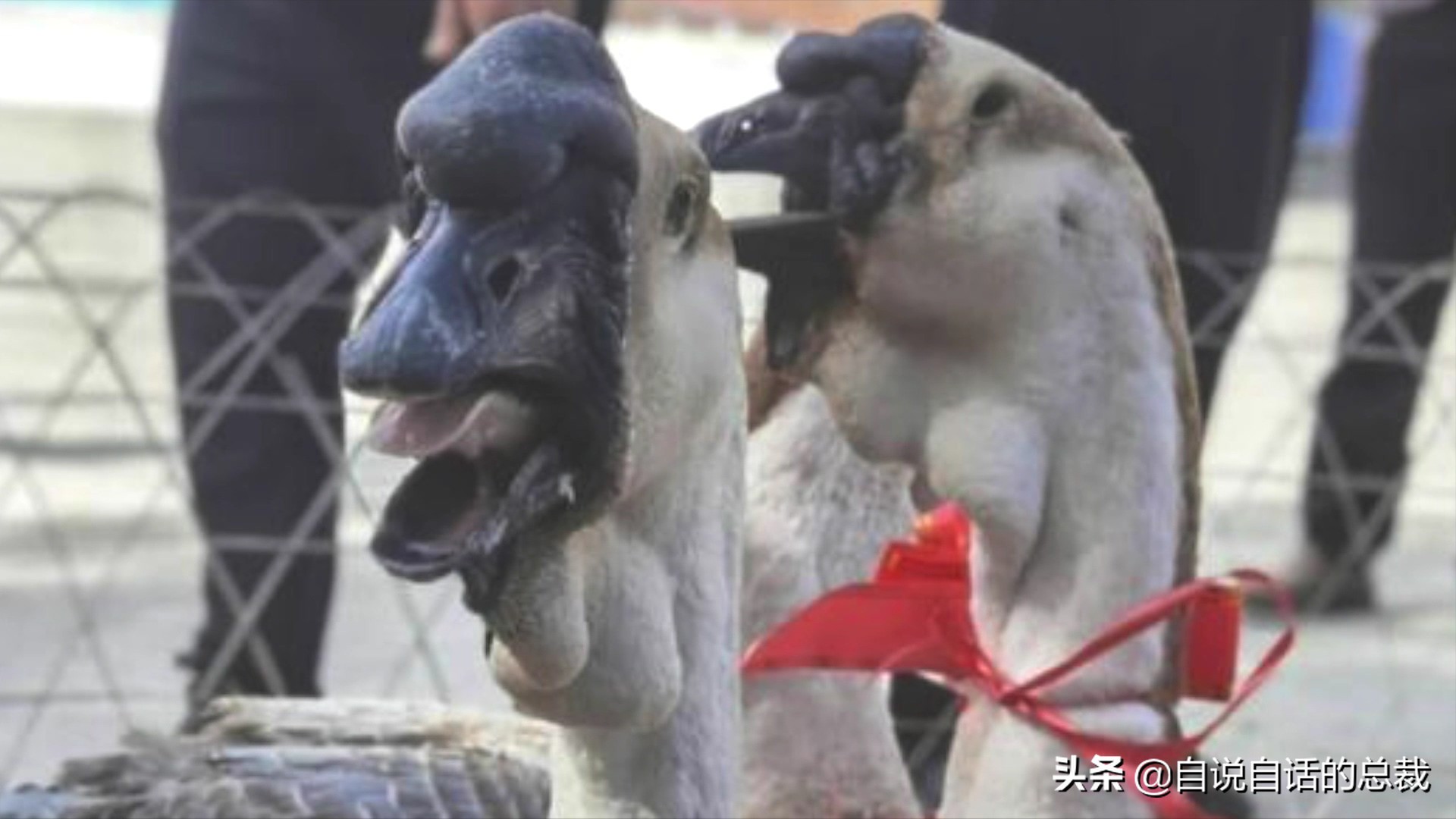 Ϊʲôﶼ¶죿жĵطûߣʵò