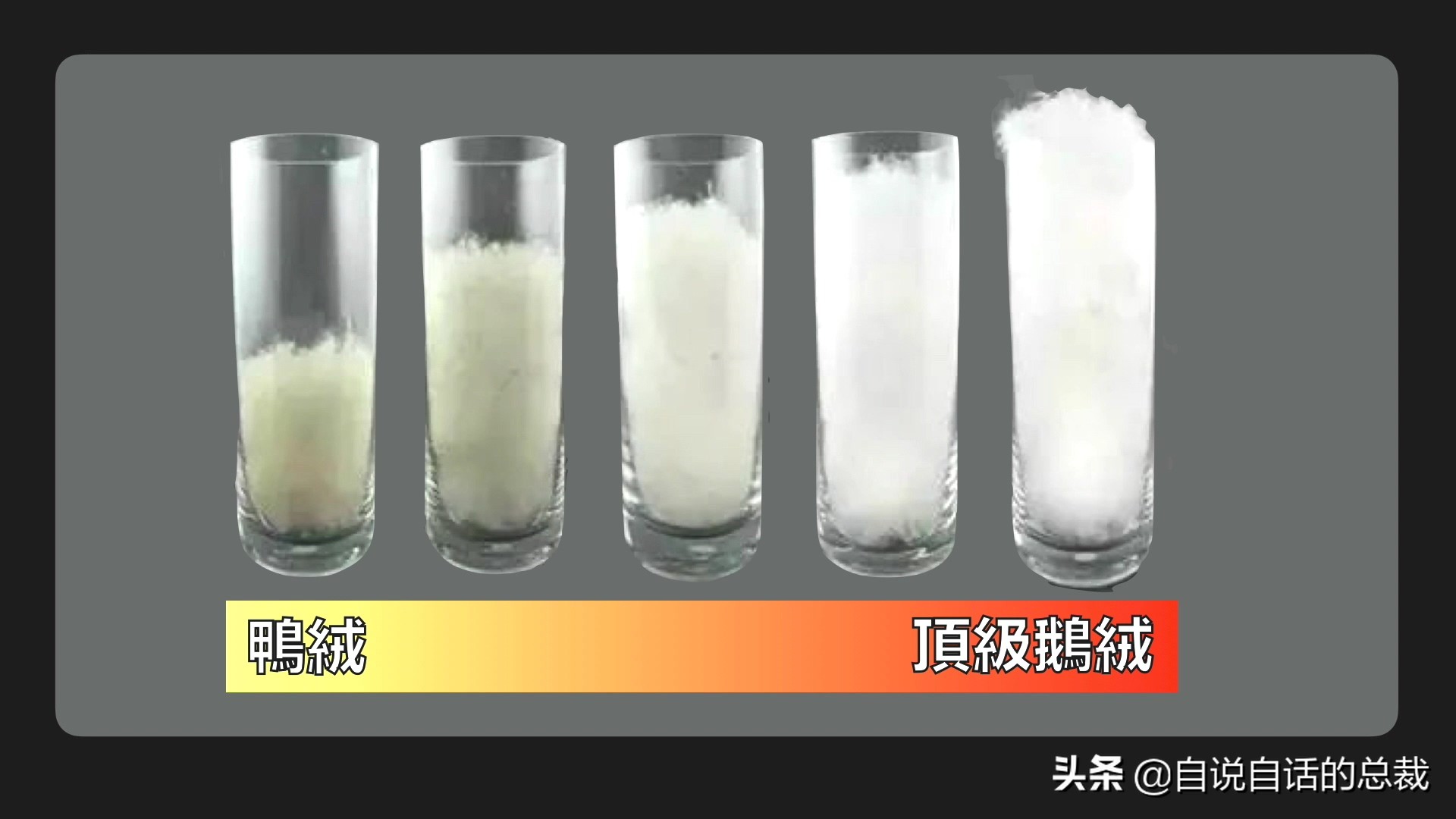 Ϊʲôﶼ¶죿жĵطûߣʵò
