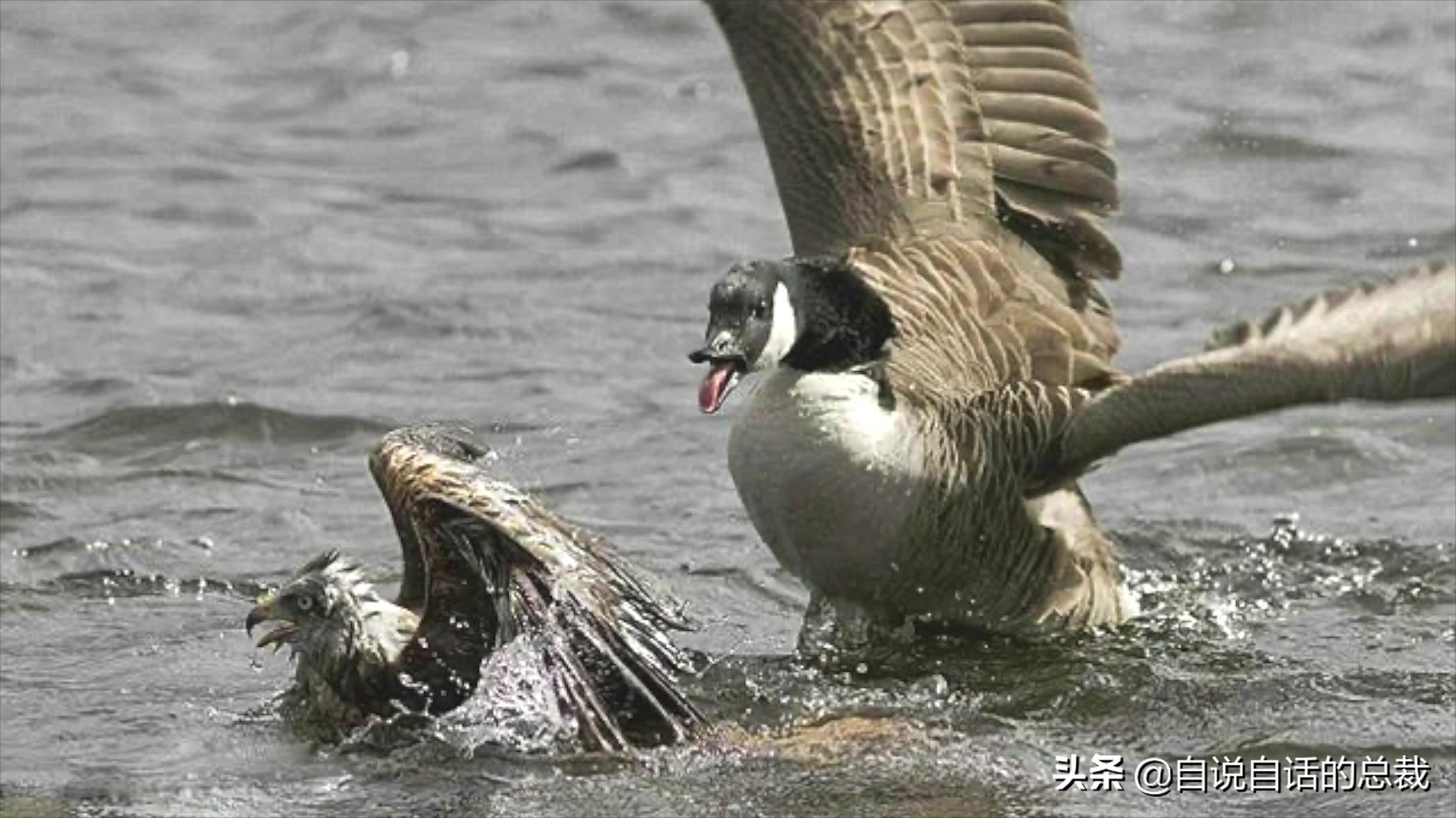 Ϊʲôﶼ¶죿жĵطûߣʵò