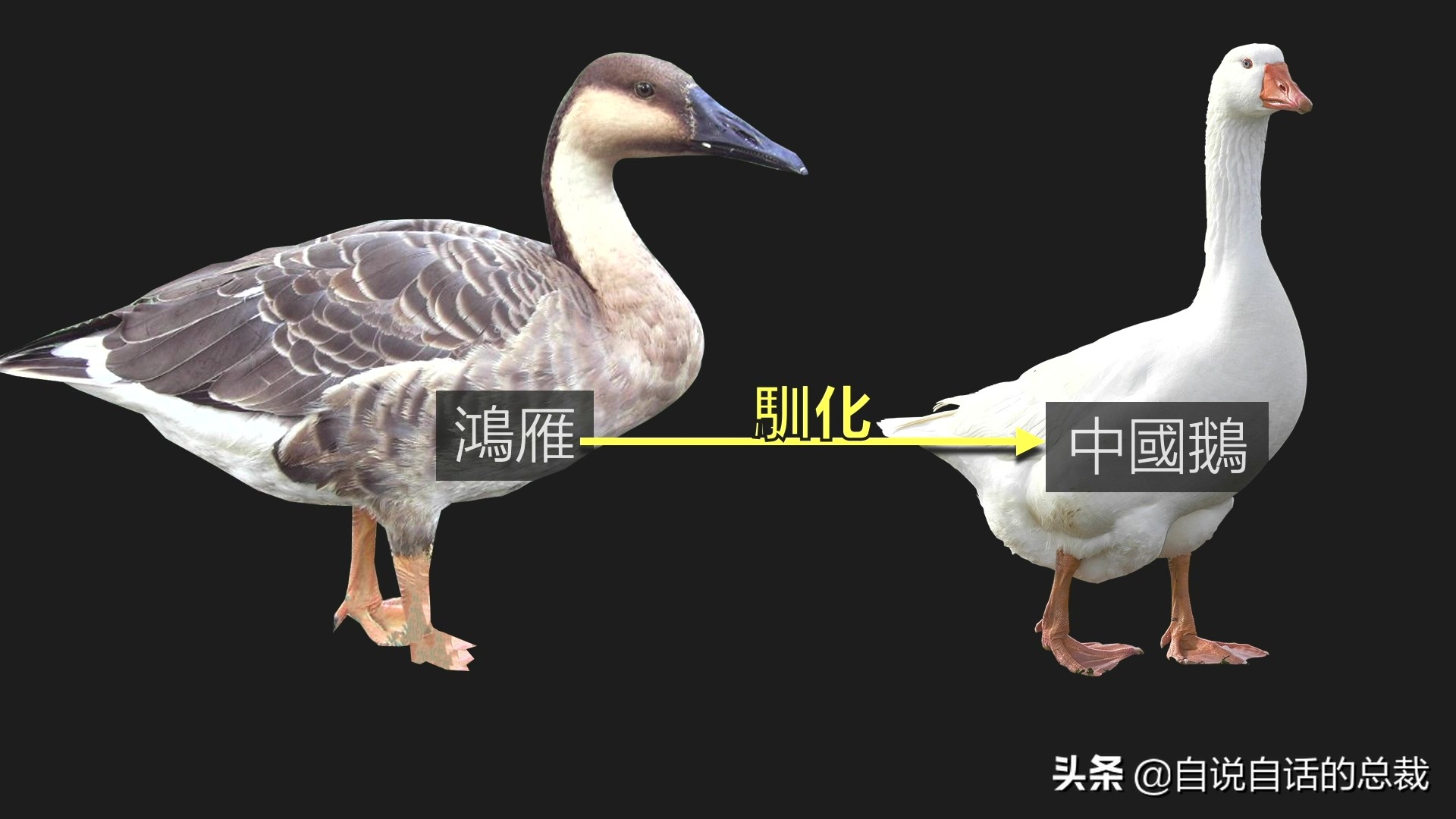 Ϊʲôﶼ¶죿жĵطûߣʵò