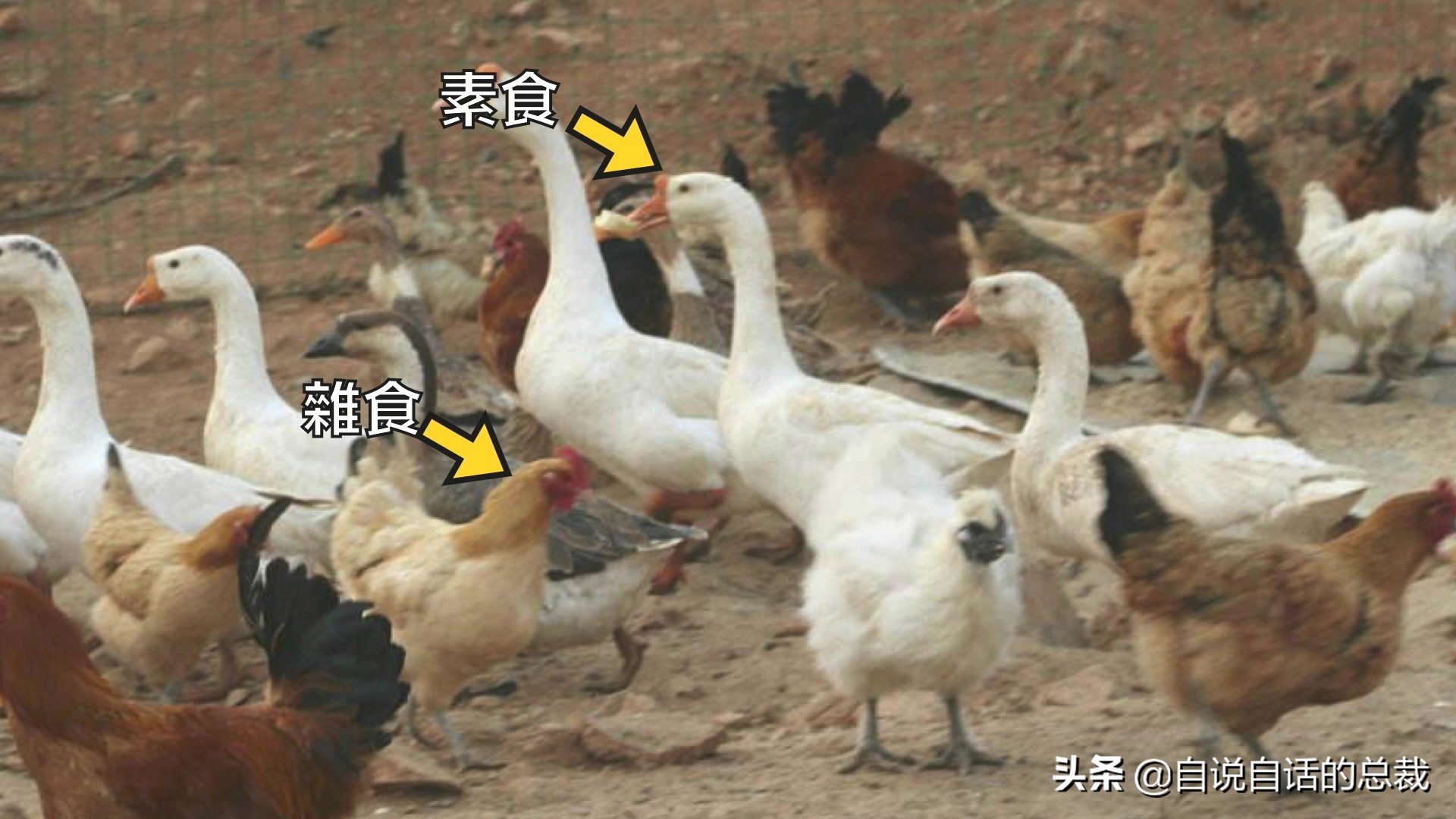 Ϊʲôﶼ¶죿жĵطûߣʵò