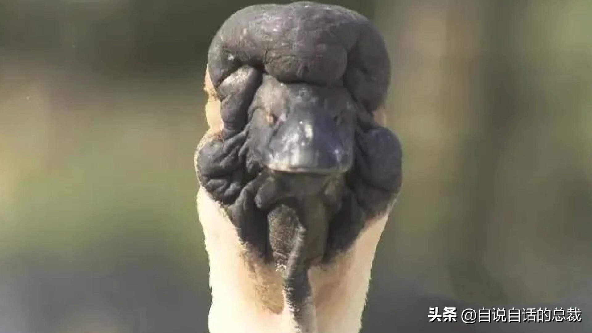 Ϊʲôﶼ¶죿жĵطûߣʵò