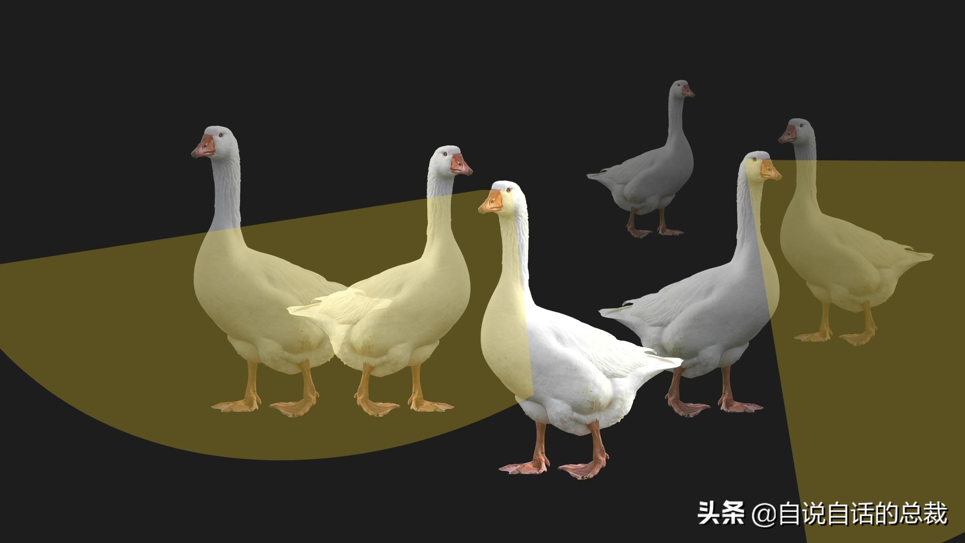 Ϊʲôﶼ¶죿жĵطûߣʵò