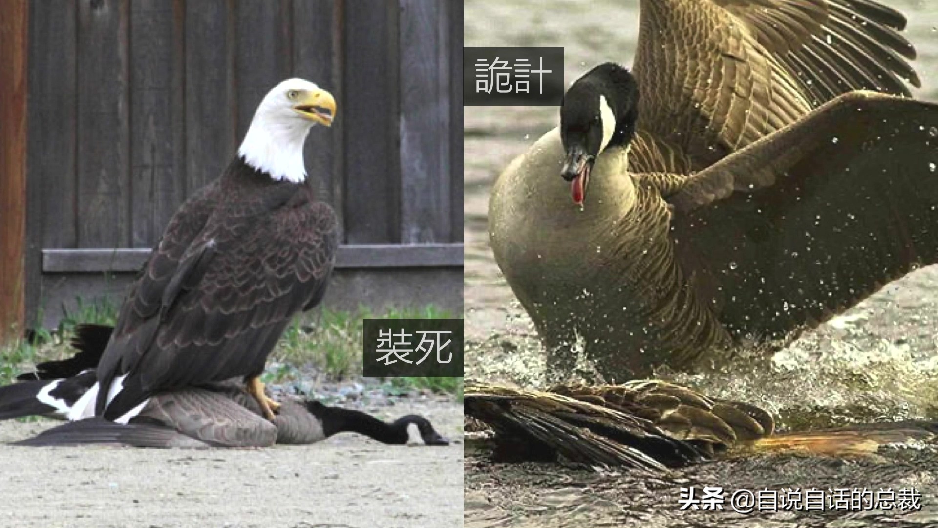 Ϊʲôﶼ¶죿жĵطûߣʵò