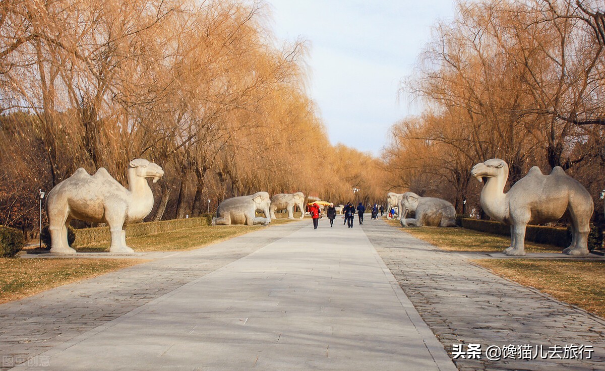 十三陵是哪十三个陵？能够参观的有哪些？只有一个地宫对外开放