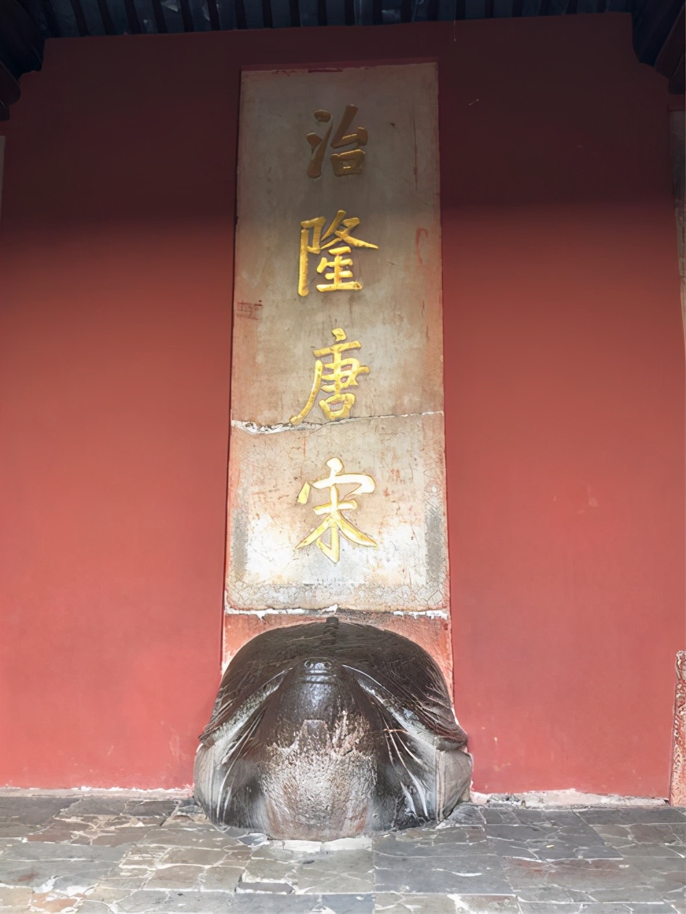 Ϊʲôûһ峯ȴ